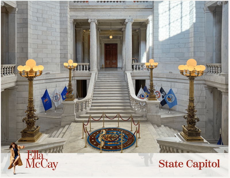 Custom rug installed for the Ella McCay film production