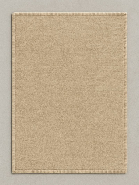 Plain off-the-shelf area rug shown as an example of a standard, non-custom rug with generic size and pattern